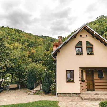 Lodge Zeleni Svet Crni Vrh Ngoại thất bức ảnh