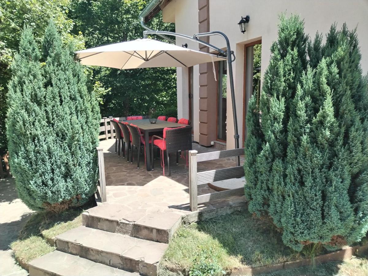 Lodge Zeleni Svet Crni Vrh Ngoại thất bức ảnh