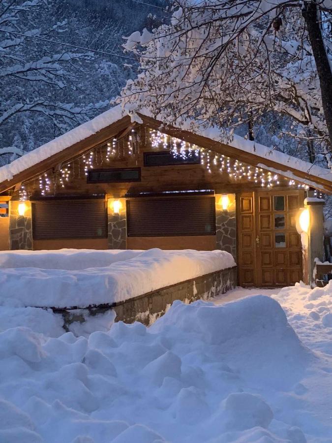 Lodge Zeleni Svet Crni Vrh Ngoại thất bức ảnh